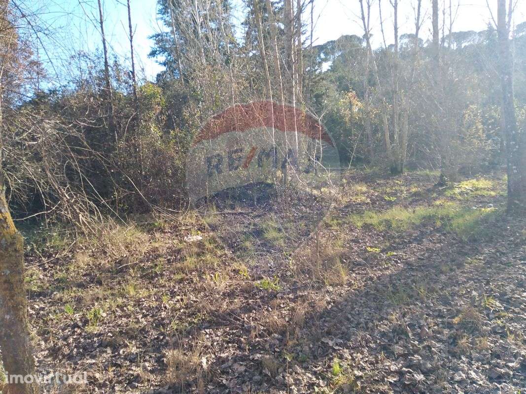 Terreno  para venda - Grande imagem: 4/25