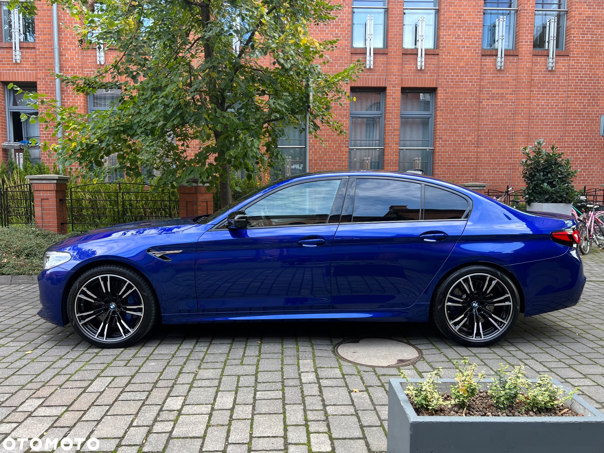 BMW M5 Standard - 5