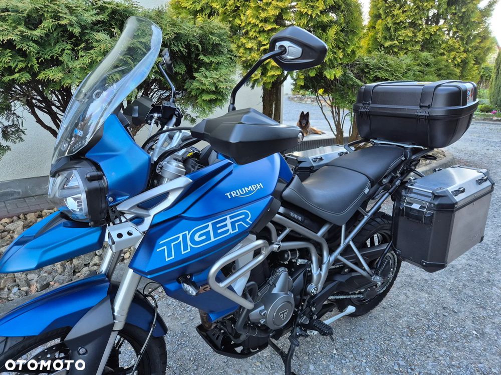 Triumph Tiger - 3
