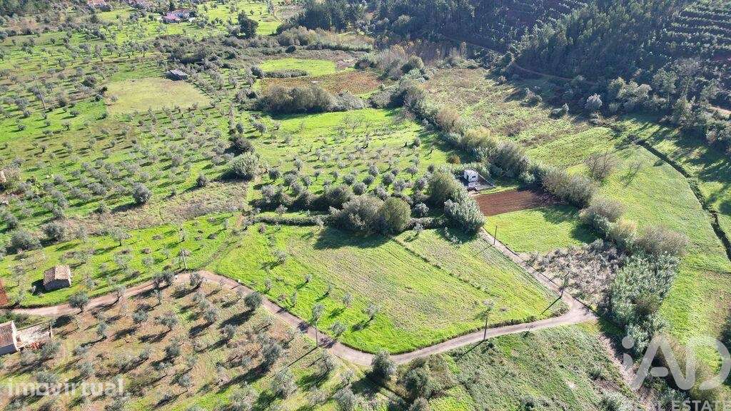 Terreno Agrícola em Podentes - Grande imagem: 4/25