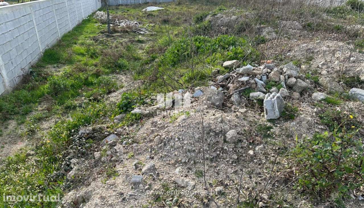 Venda Terreno, Grilo, Baião - Grande imagem: 5/29