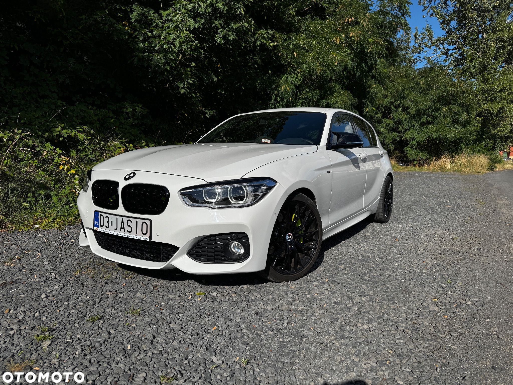 BMW Seria 1 120d M Sport Shadow sport - 1