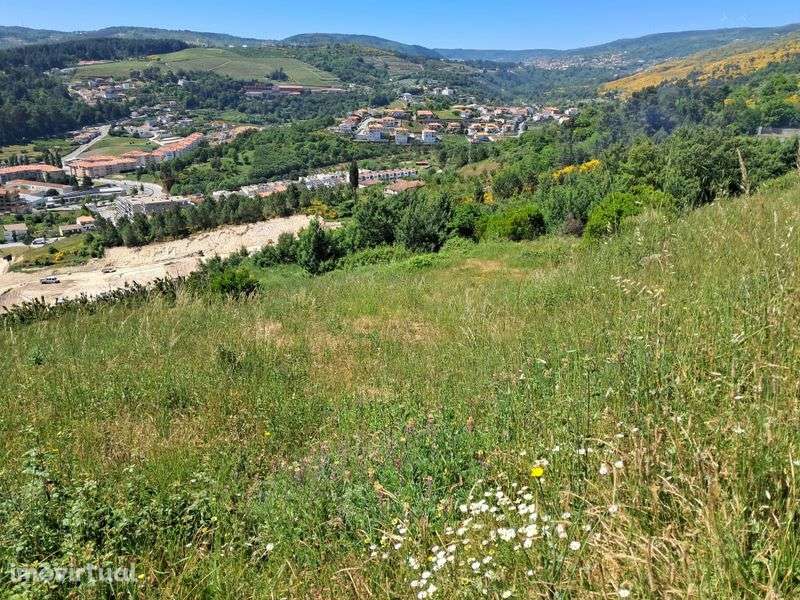 Terreno Serra das Meadas - Lamego - Grande imagem: 3/7