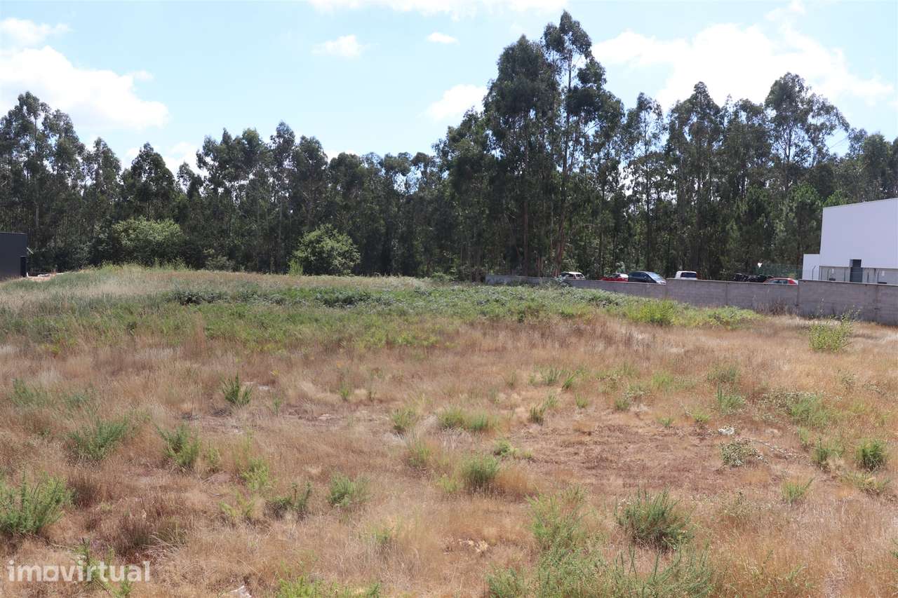 Lote de Terreno  Venda em Lustosa e Barrosas (Santo Estêvão),Lousada - Grande imagem: 3/9