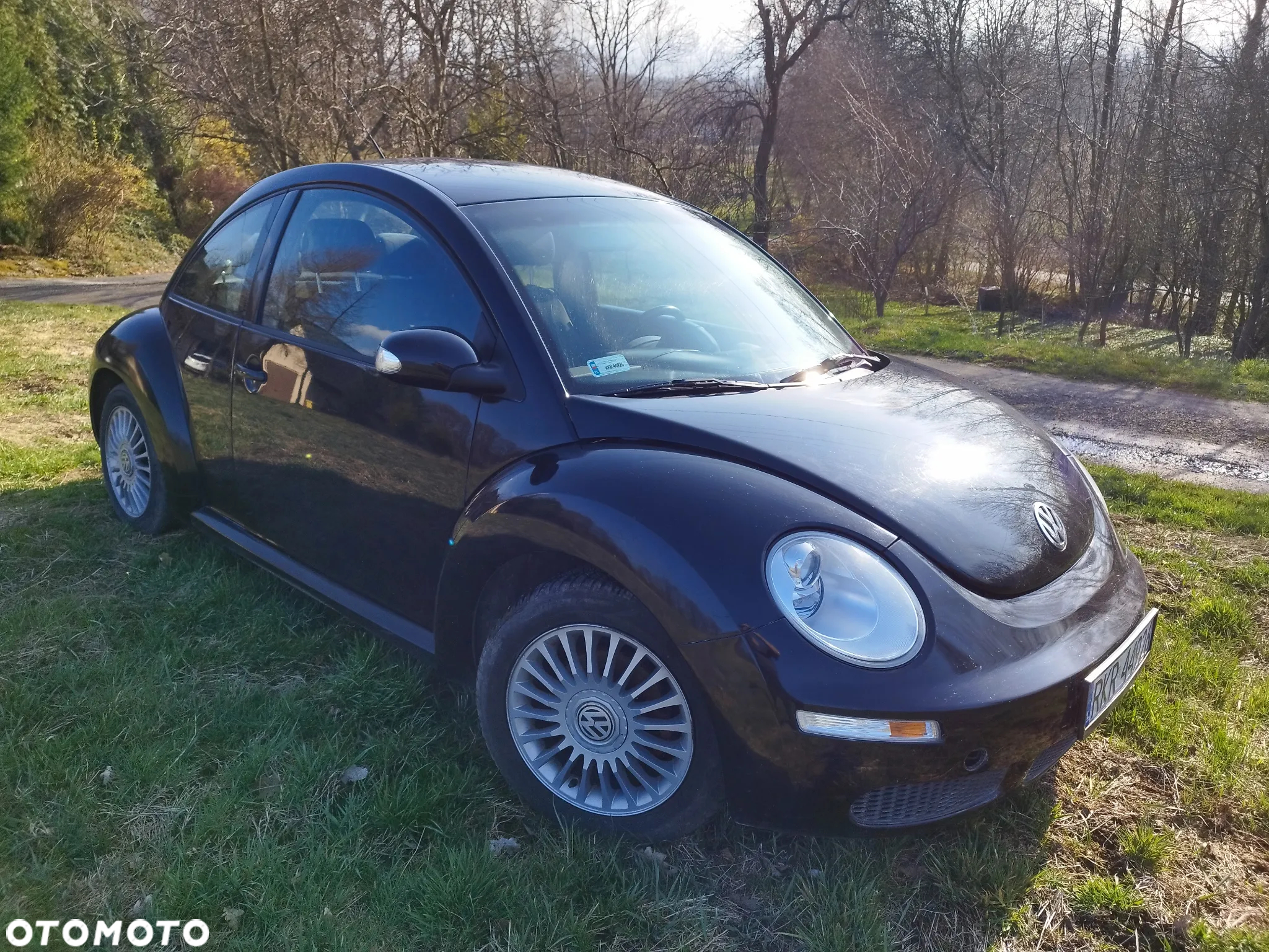 Volkswagen New Beetle - 3