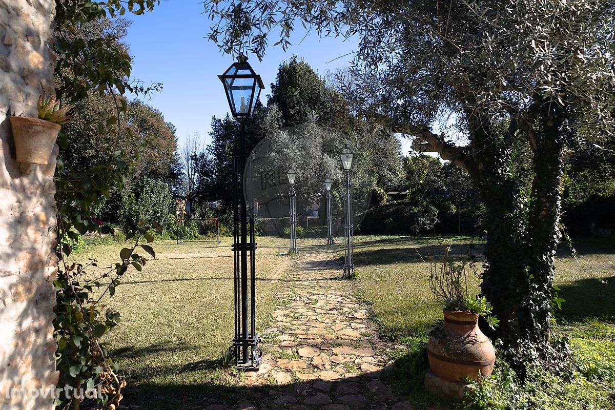 Quinta T8 para venda - Grande imagem: 3/20