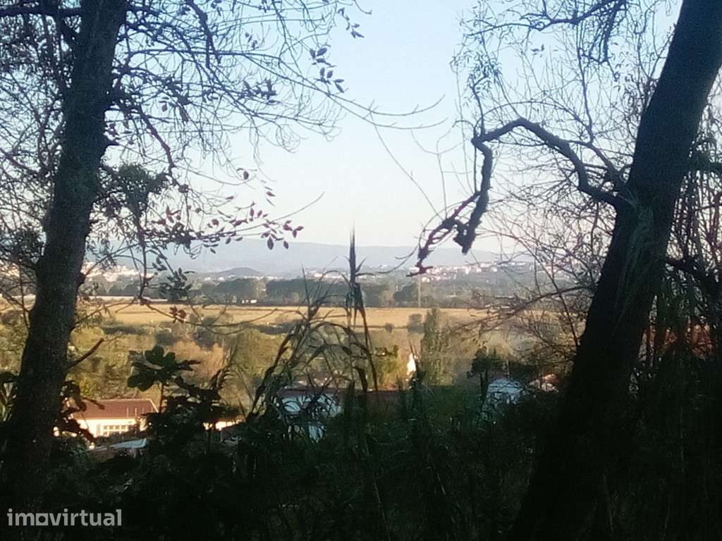Terreno Agricola, Antuzede - Grande imagem: 4/6