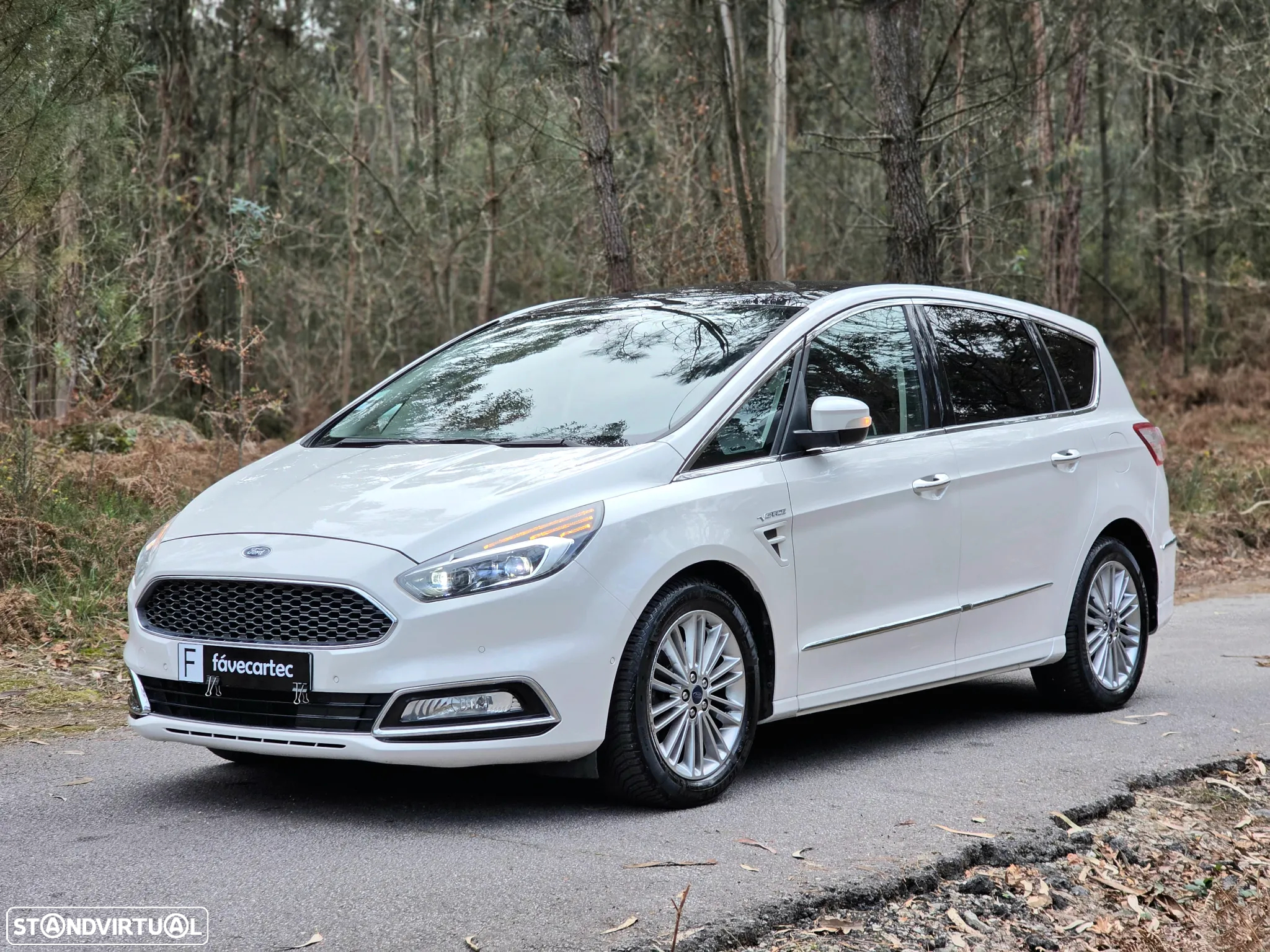 Ford S-Max 2.0 TDCi Vignale Powershift - 27