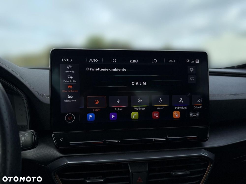 Cupra Formentor - 26
