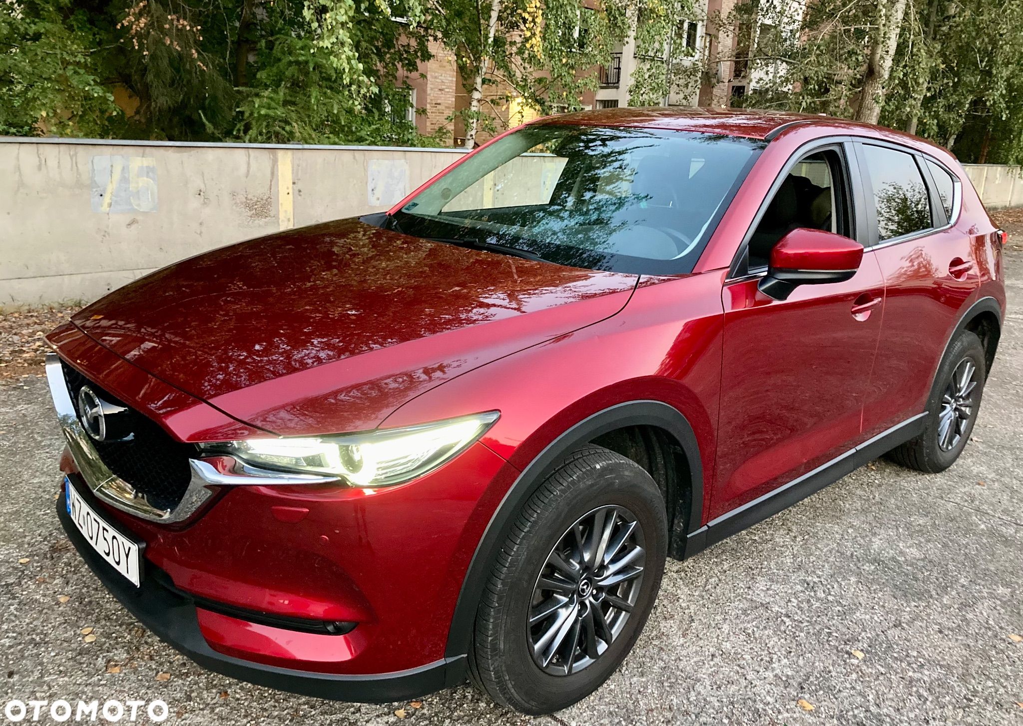 Mazda CX-5 2.0 Skyenergy 2WD - 1