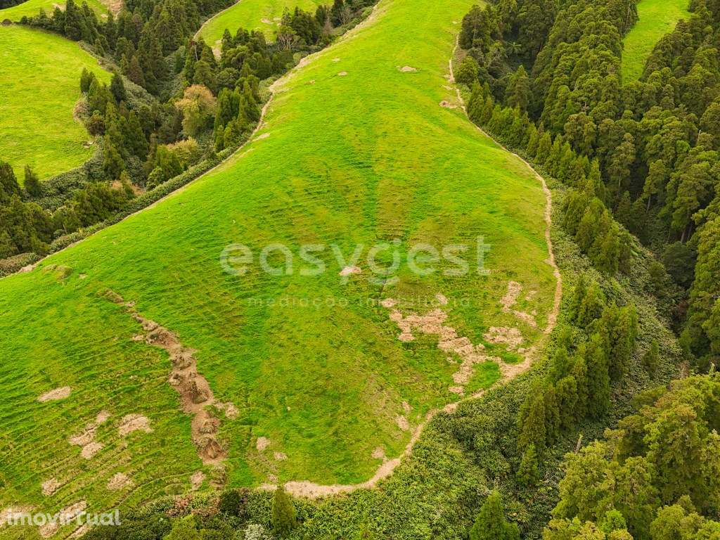 Terreno Rustico na Ajuda da Bretanha - Grande imagem: 4/11