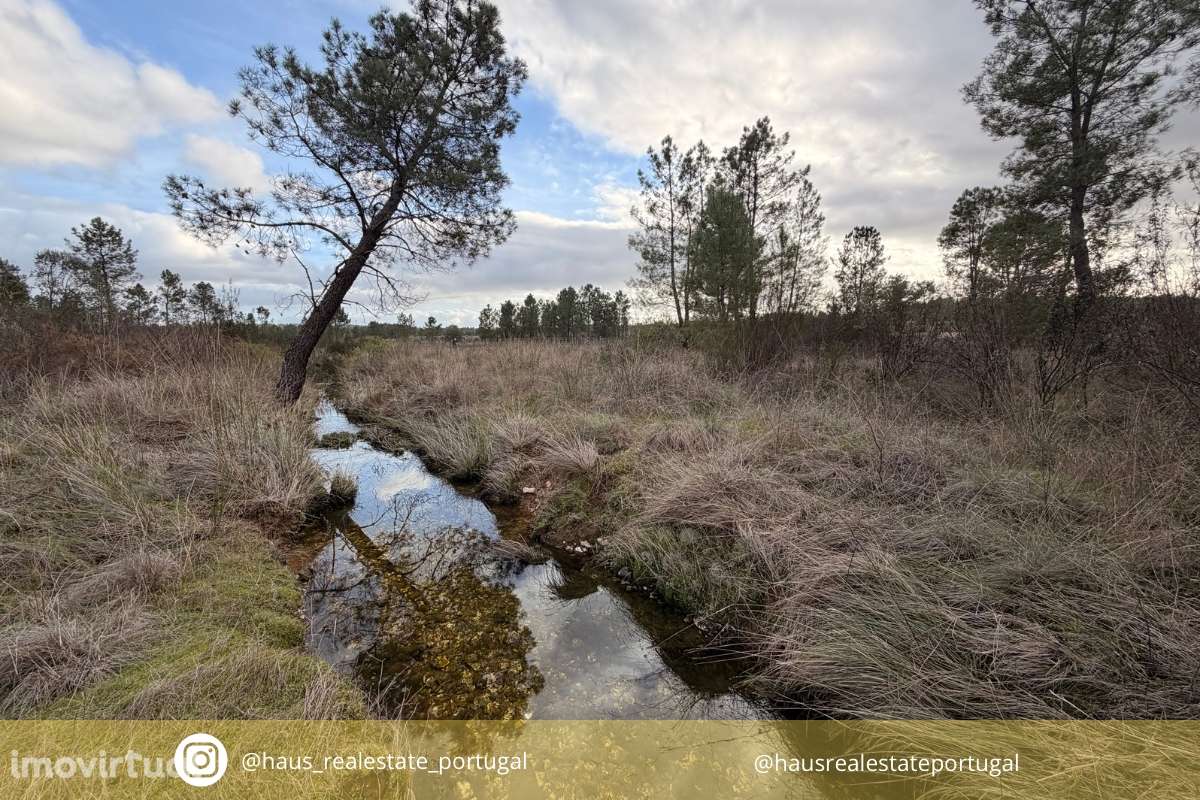 Quinta T0 Venda em Sarzedas,Castelo Branco - Grande imagem: 2/30
