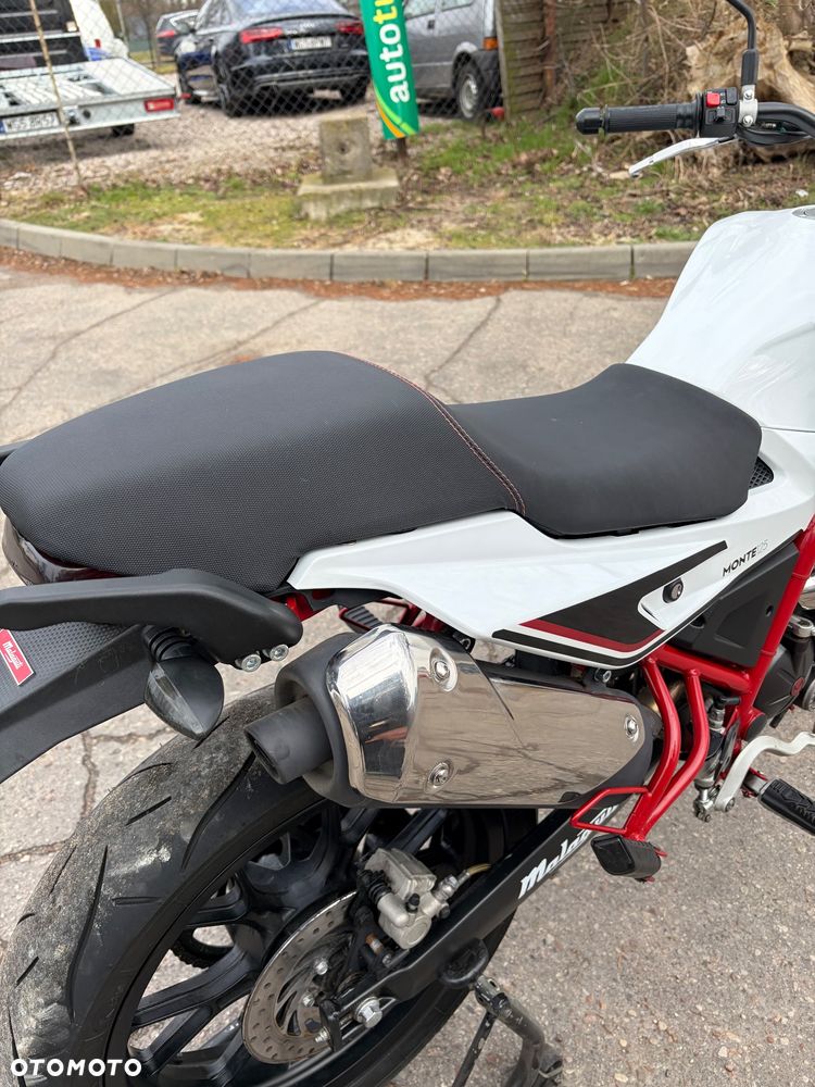 Malaguti Monte Pro - 19