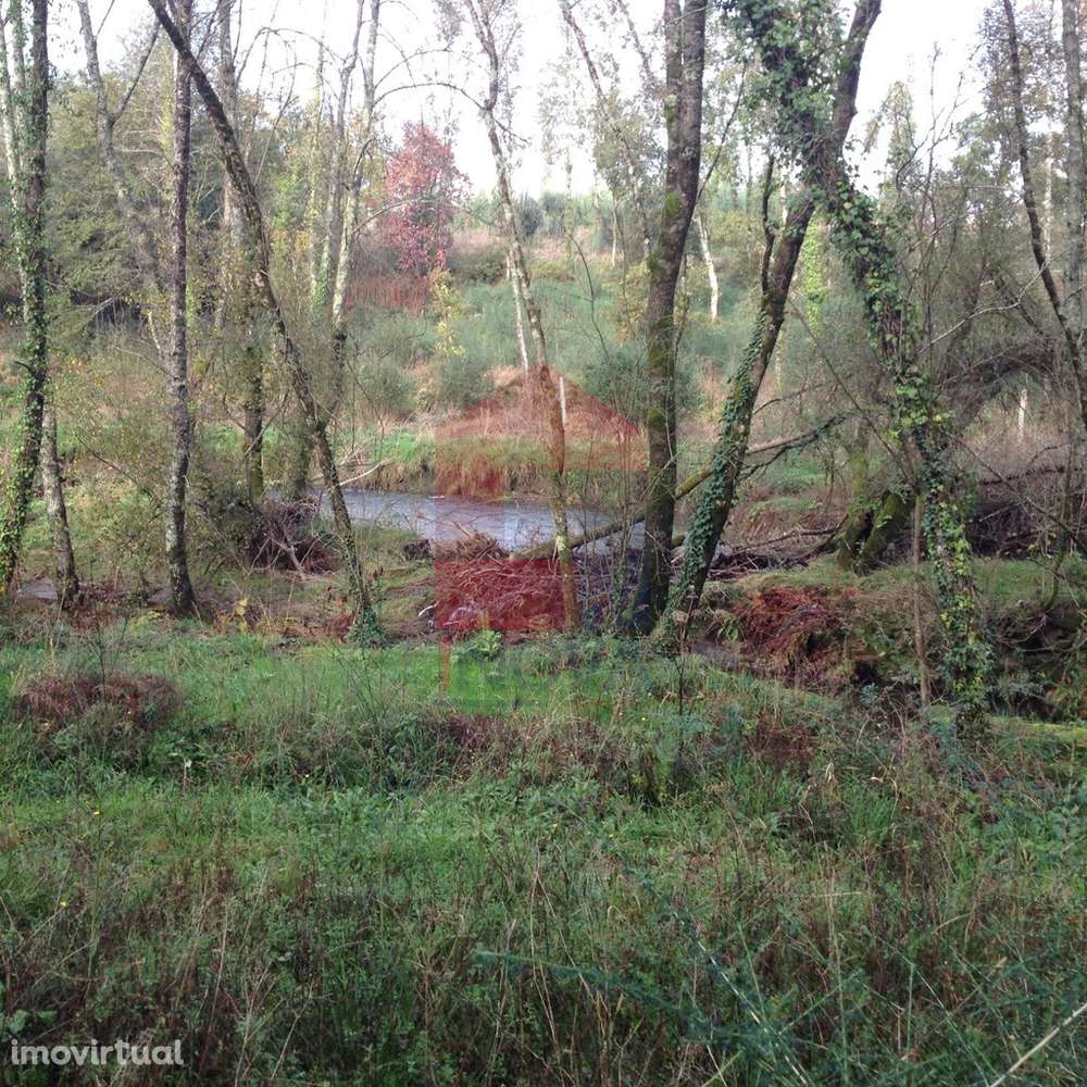 Moinho, Arcozelo - Grande imagem: 5/12