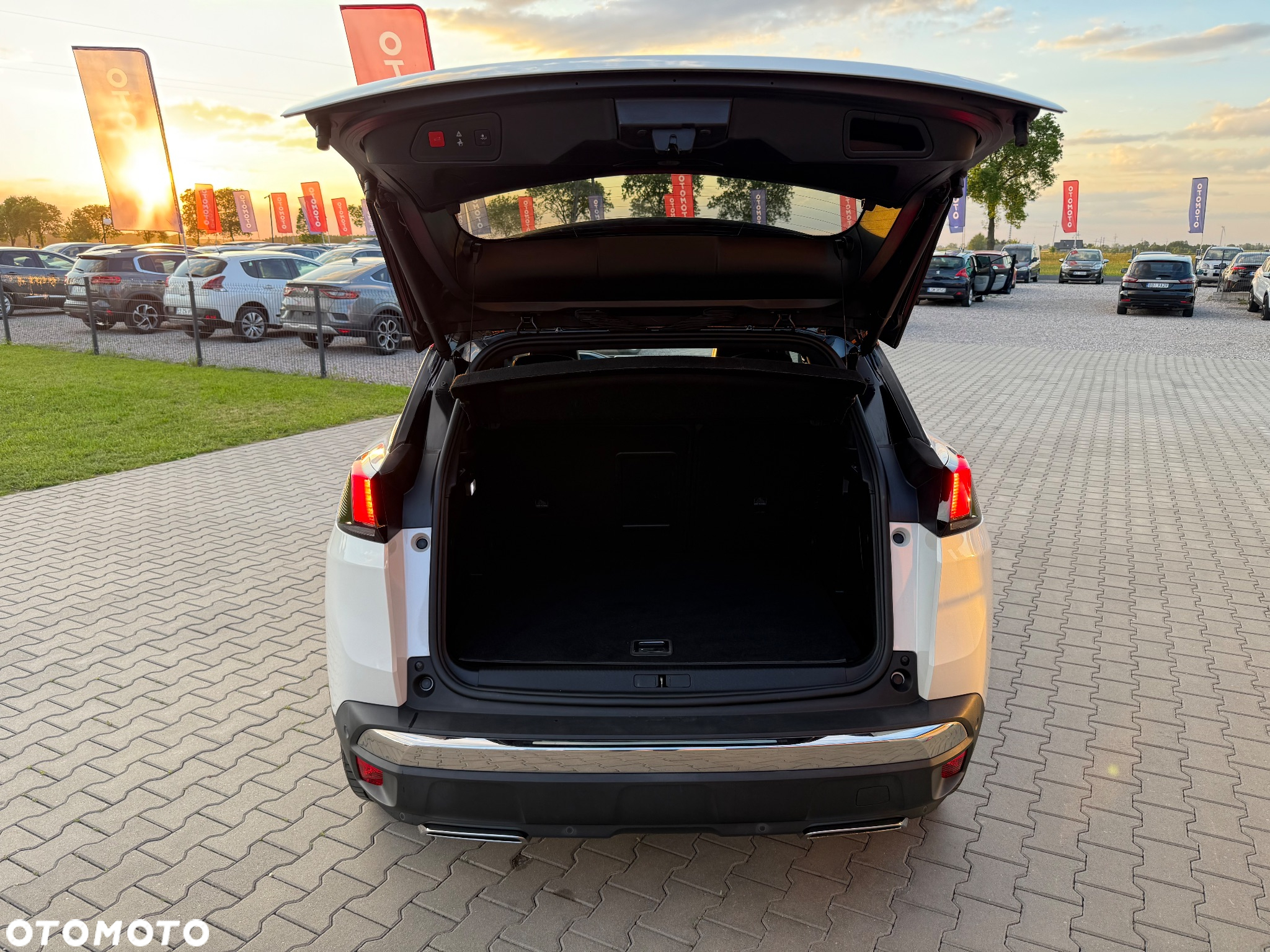 Peugeot 3008 Plug-In Hybrid4 300 e-EAT8 GT - 36