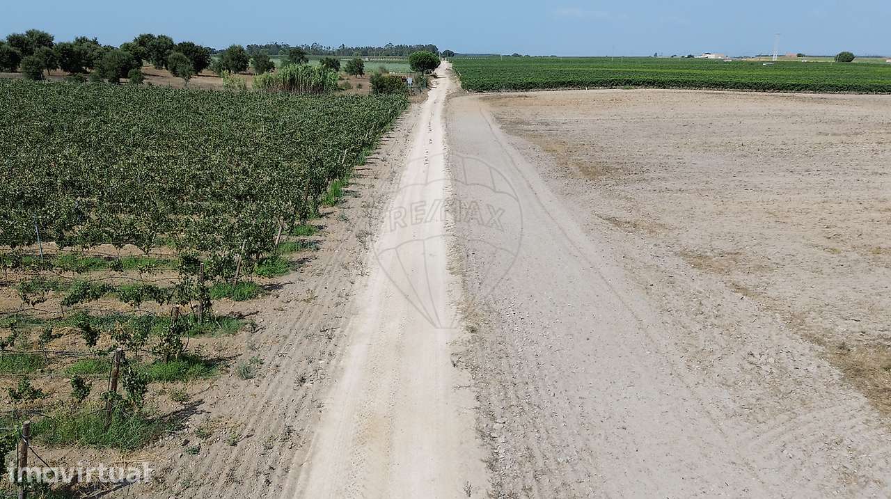Terreno  para venda - Grande imagem: 3/4