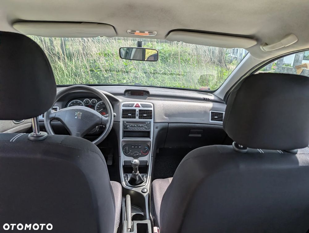 Peugeot 307 2.0 XS Class - 11