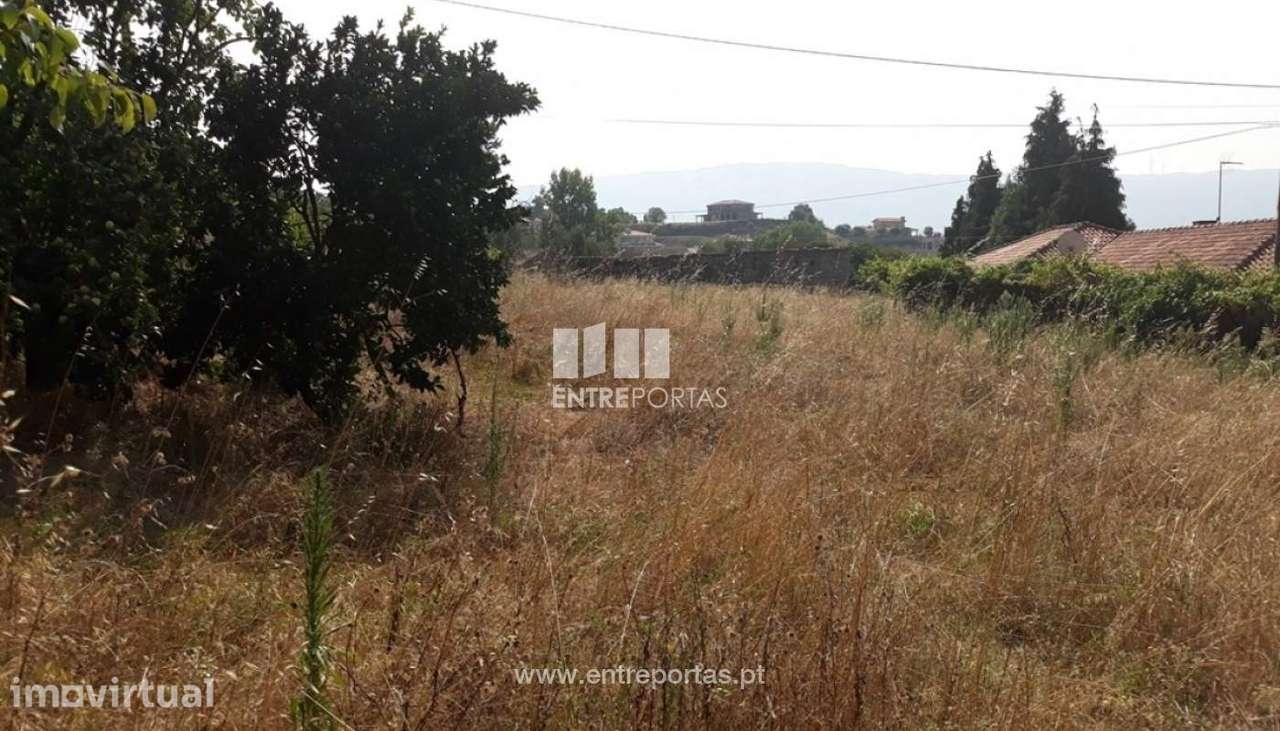 Venda Terreno,Santa Marinha do Zêzere, Baião - Grande imagem: 3/14