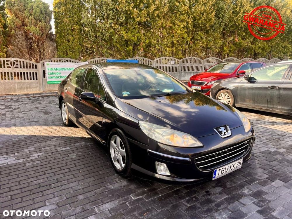 Peugeot 407 - 15