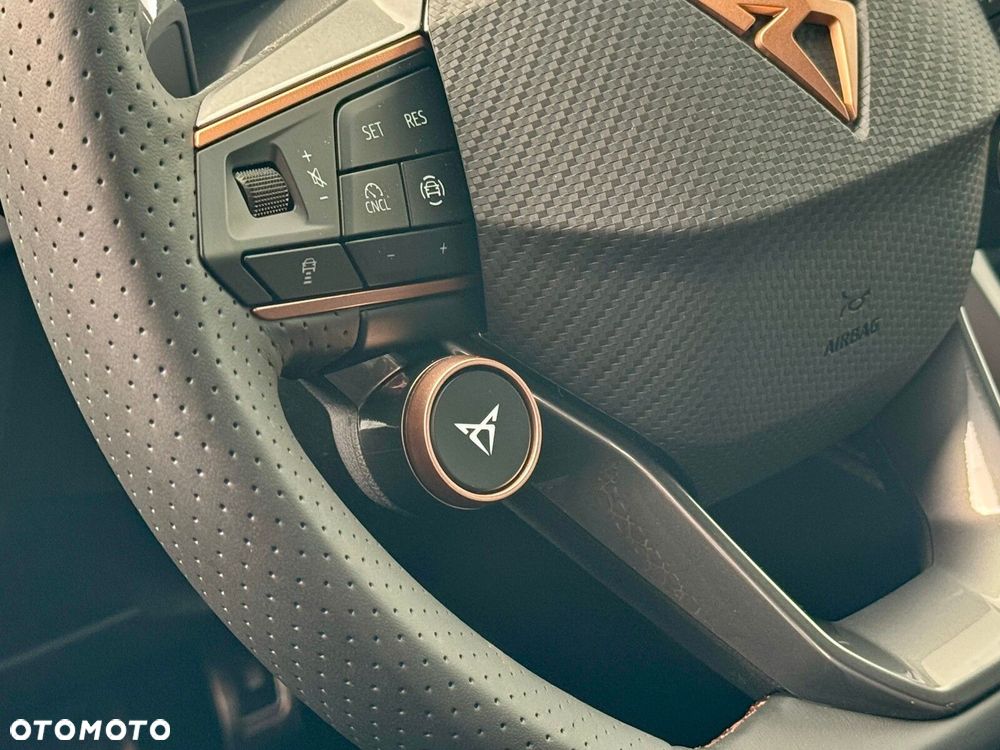 Cupra Formentor - 19