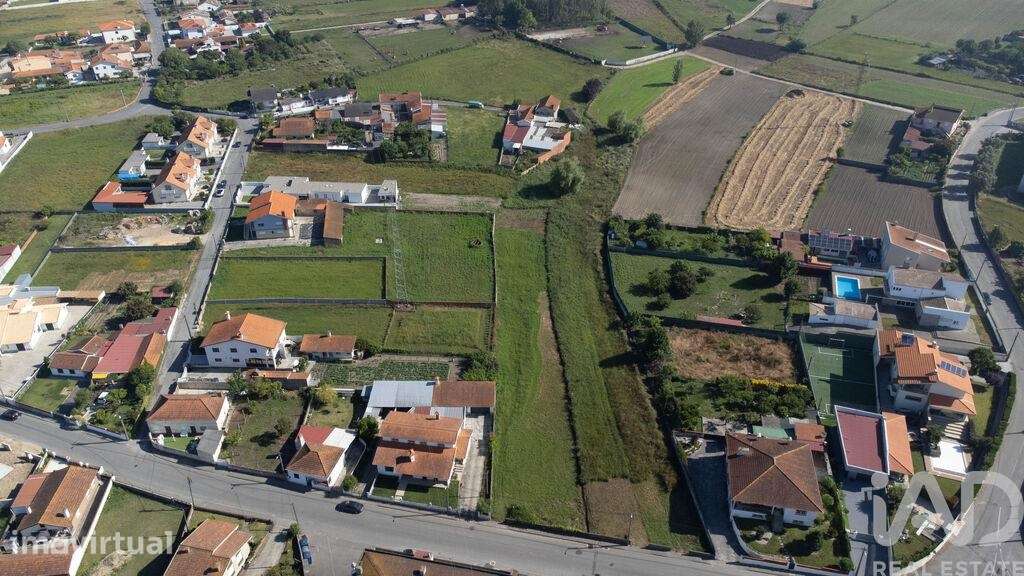 Terreno Agrícola em Beduído e Veiros - Grande imagem: 3/8