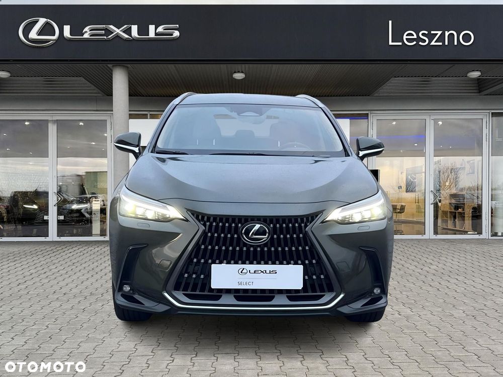 Lexus NX - 8
