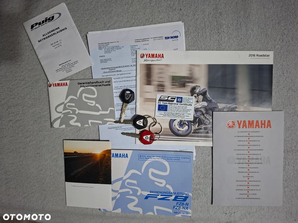 Yamaha FZ8 - 2