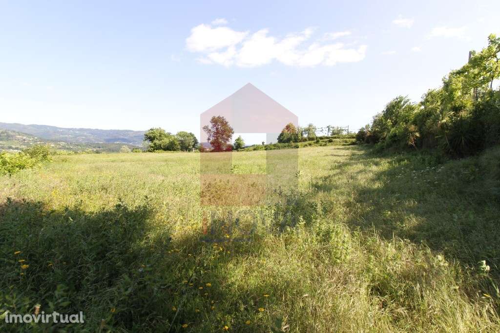 Terreno agrícola, Prado São Miguel - Grande imagem: 4/11