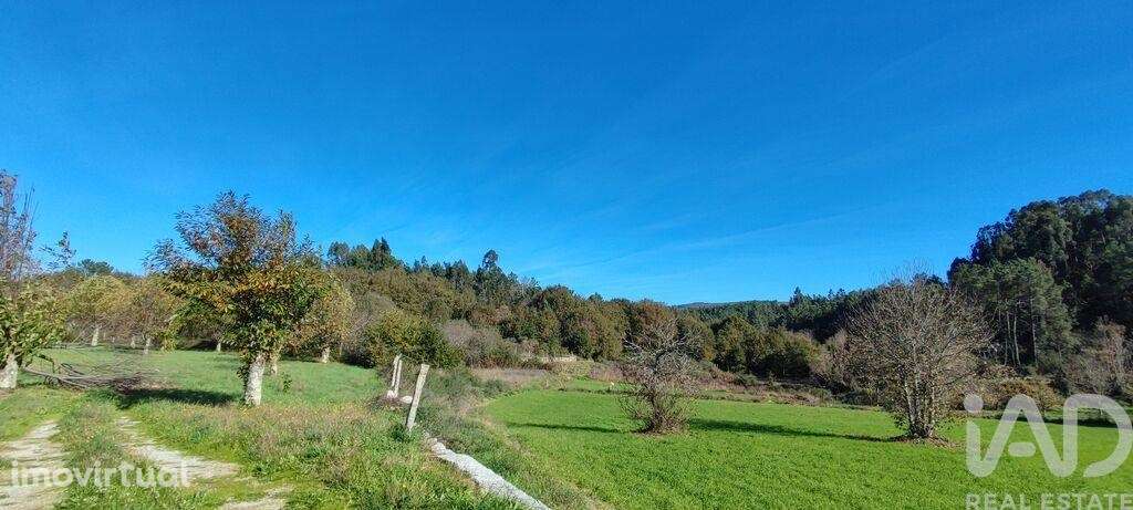 Terreno em Mões de 7026,00 m2 - Grande imagem: 5/29