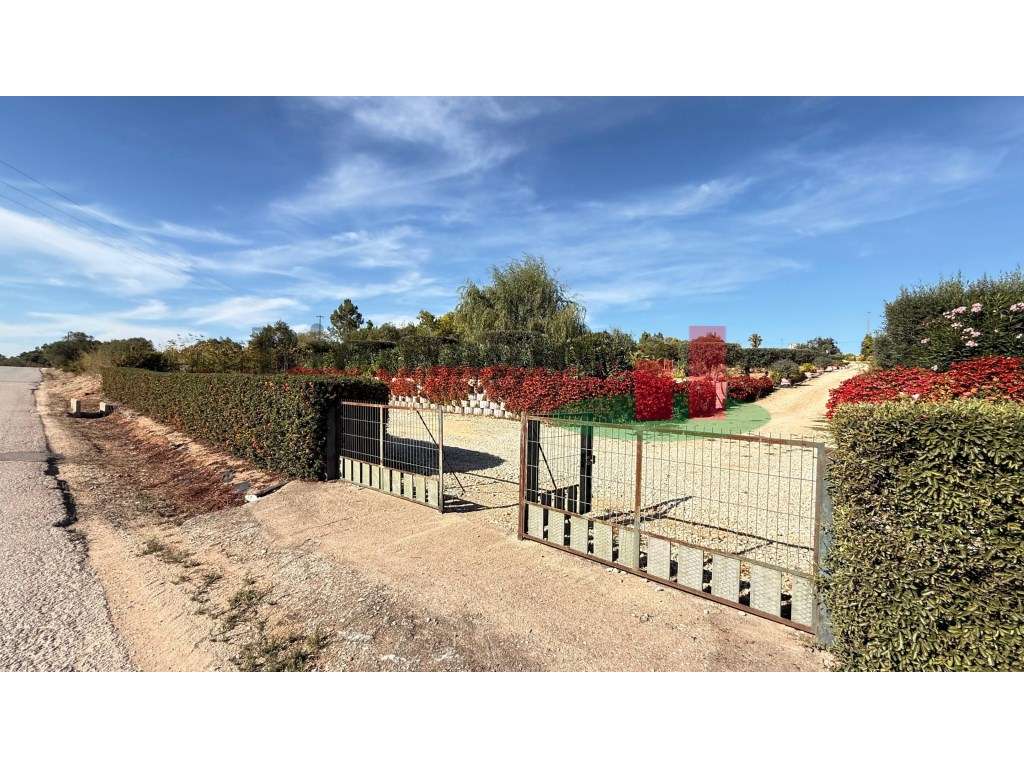 Terreno rústico***RIOMAGIC*** - Grande imagem: 3/60