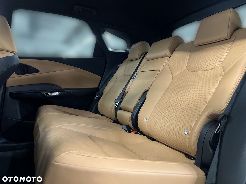Lexus RX - 17