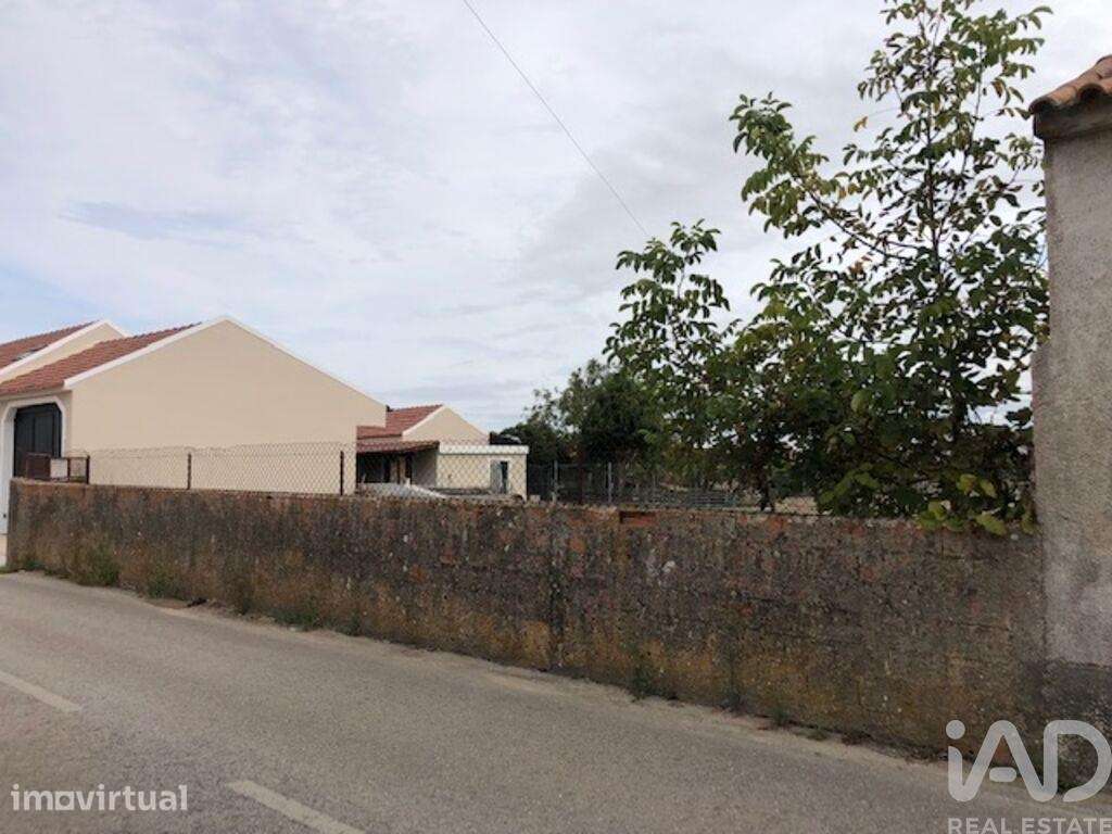 Terreno para construção em Monte Real e Carvide de 2160,00 m2