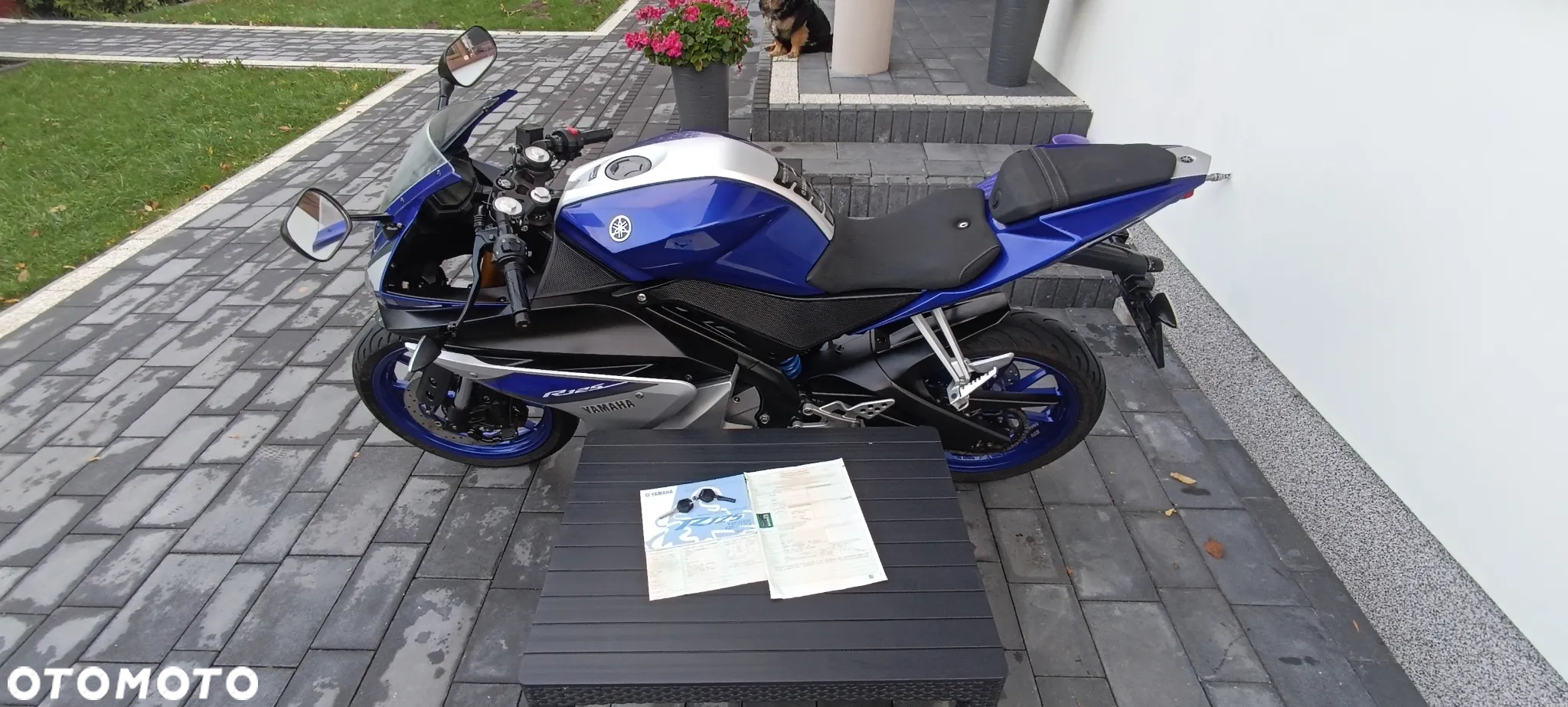 Yamaha YZF - 24