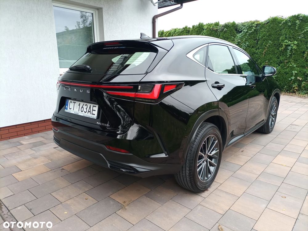 Lexus NX - 3