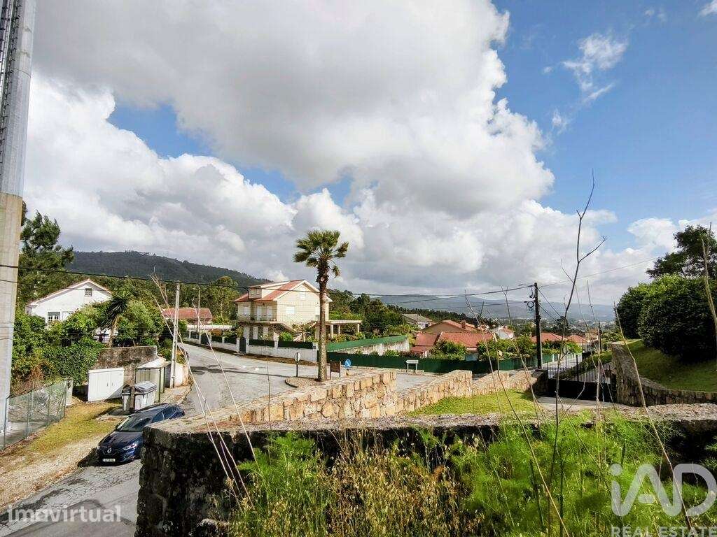 Terreno misto em Mujães - Grande imagem: 4/12