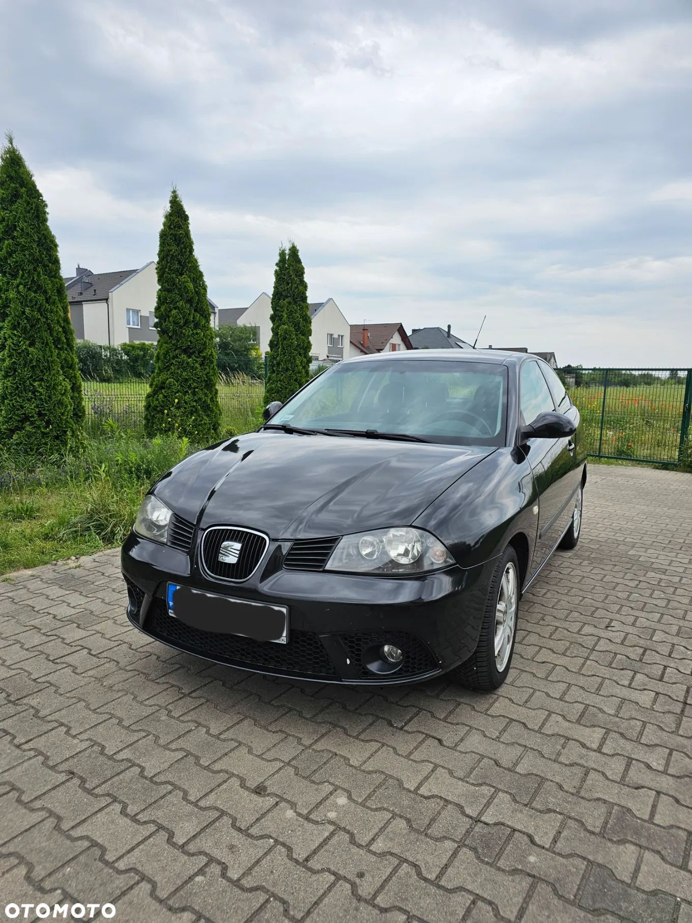 Seat Ibiza - 1