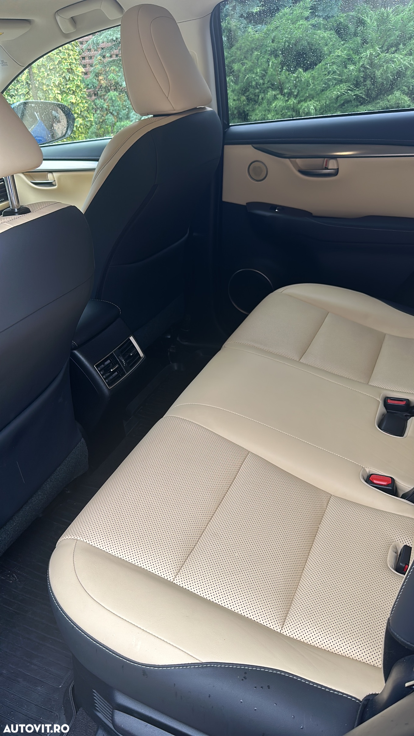 Lexus Seria NX 300h AWD Executive Plus - 7