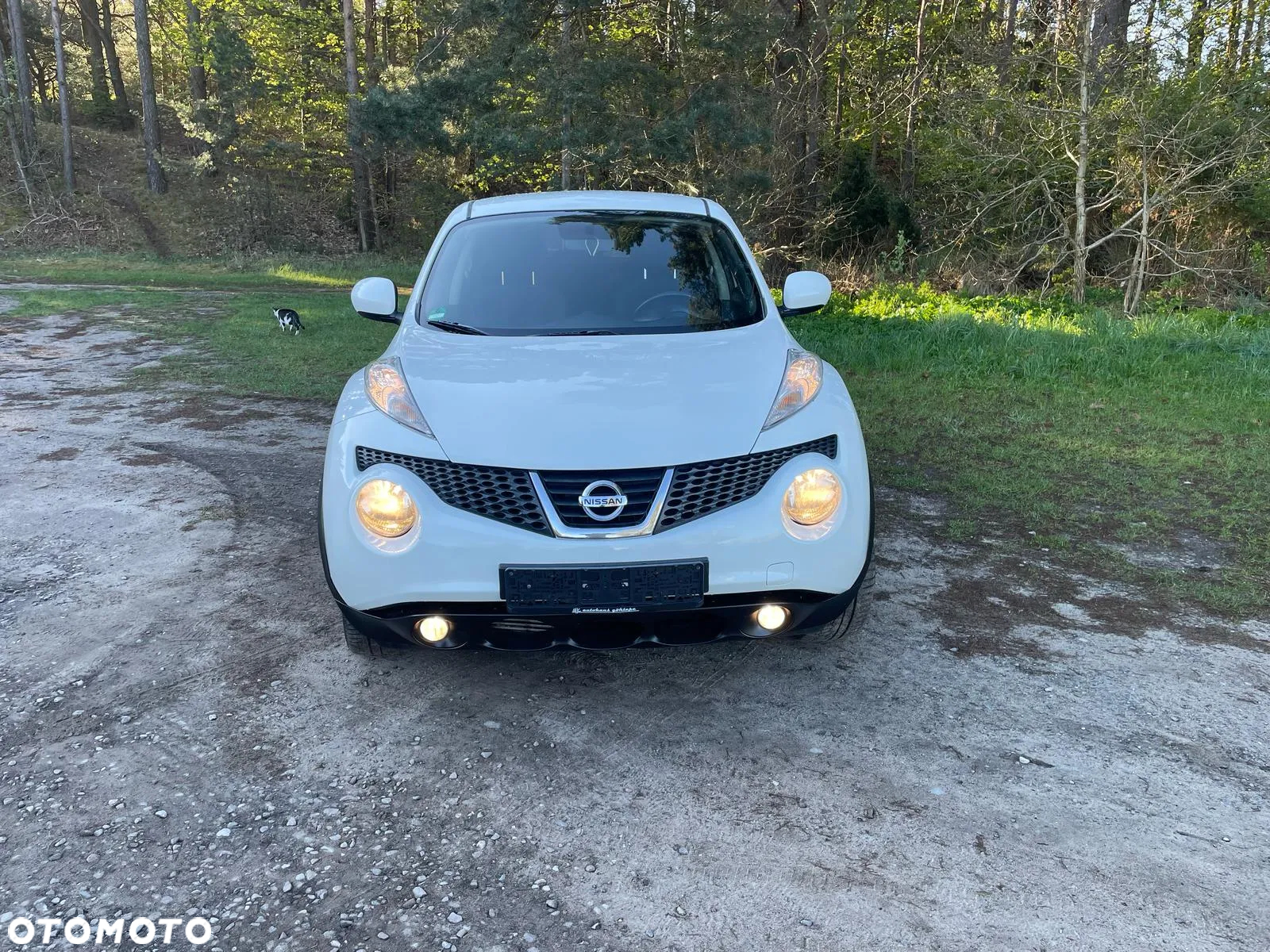 Nissan Juke 1.5 dCi Edition - 3