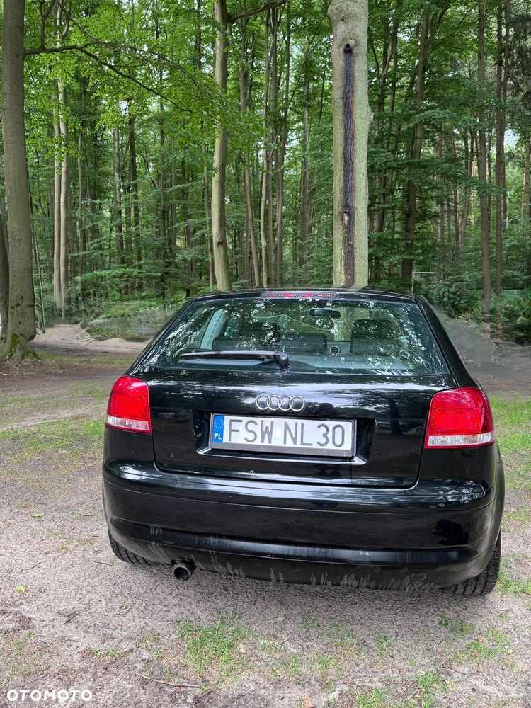 Audi A3 3-drzwiowe - 12