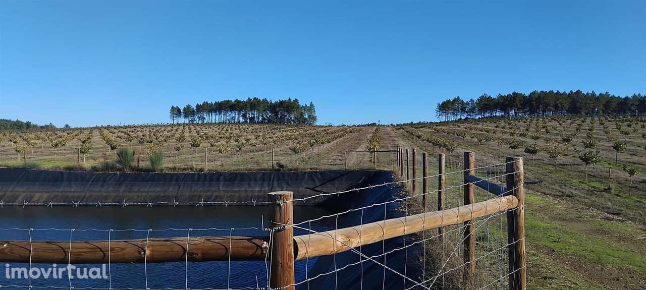 Quinta - Grande imagem: 3/13
