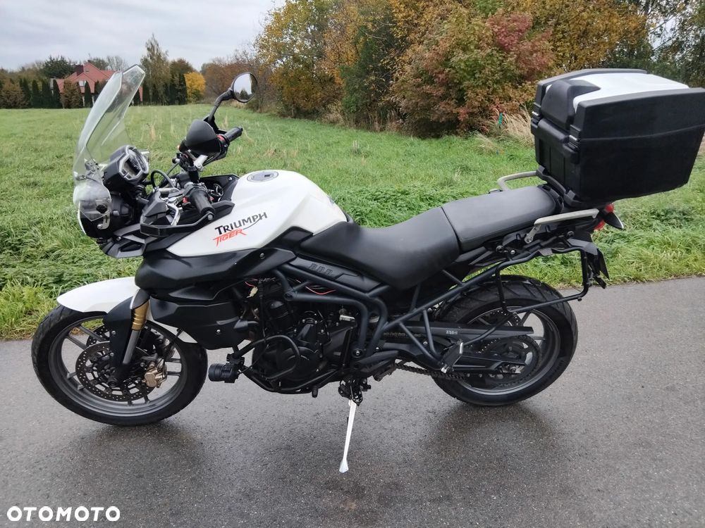 Triumph Tiger - 2