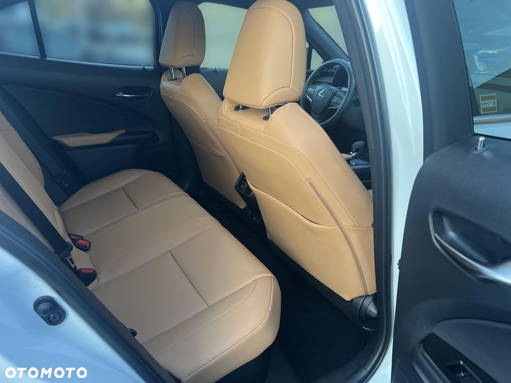 Lexus UX 300h F Sport Design - 20