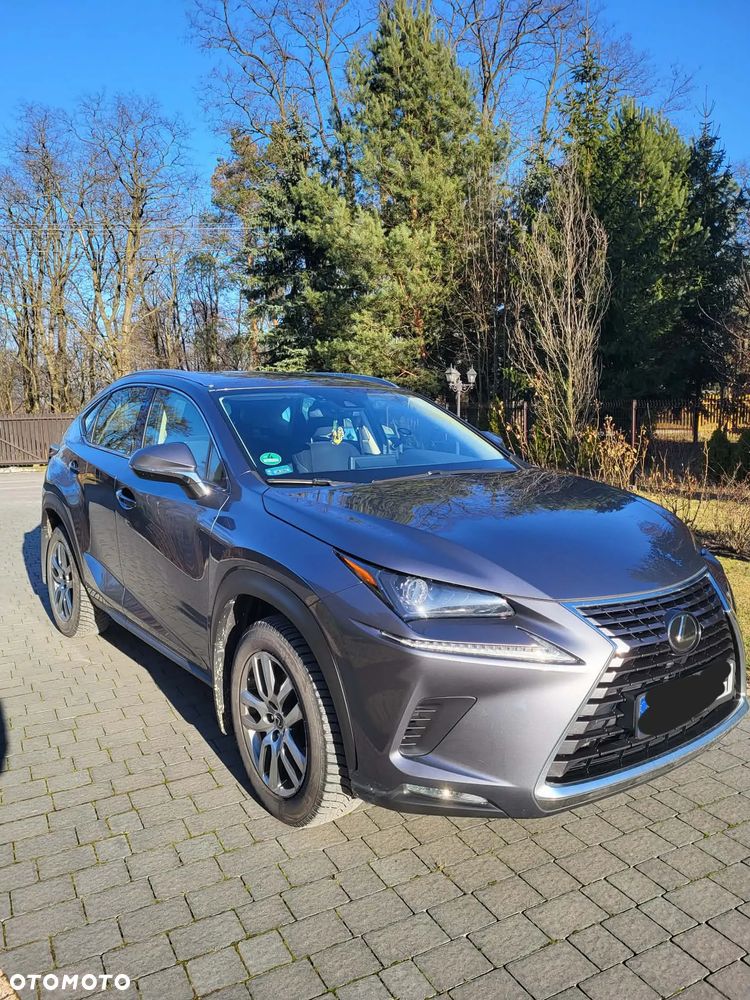 Lexus NX 300 Prestige AWD - 2