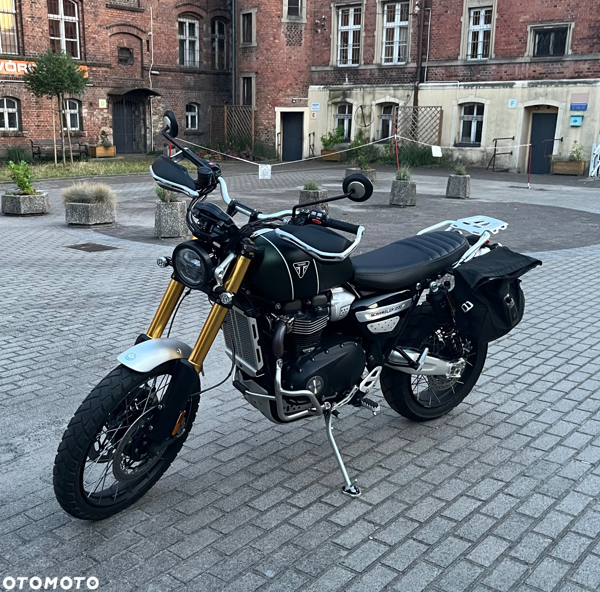 Triumph Scrambler