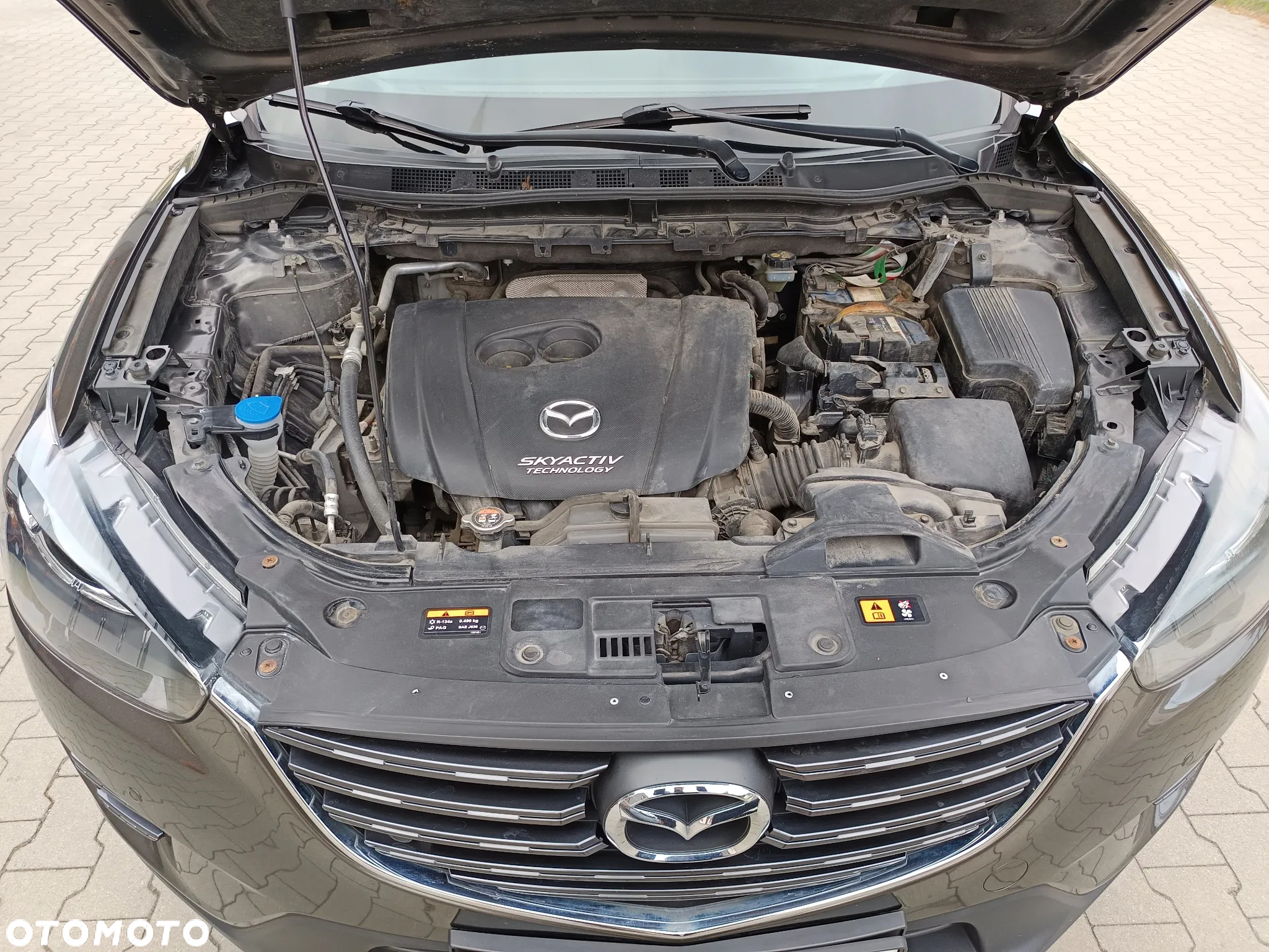 Mazda CX-5 2.0 Skyenergy 2WD - 15