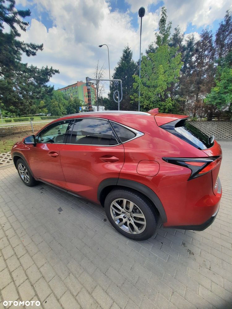 Lexus NX - 4