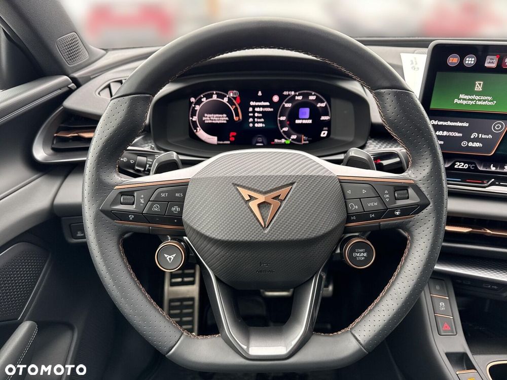 Cupra Terramar - 13