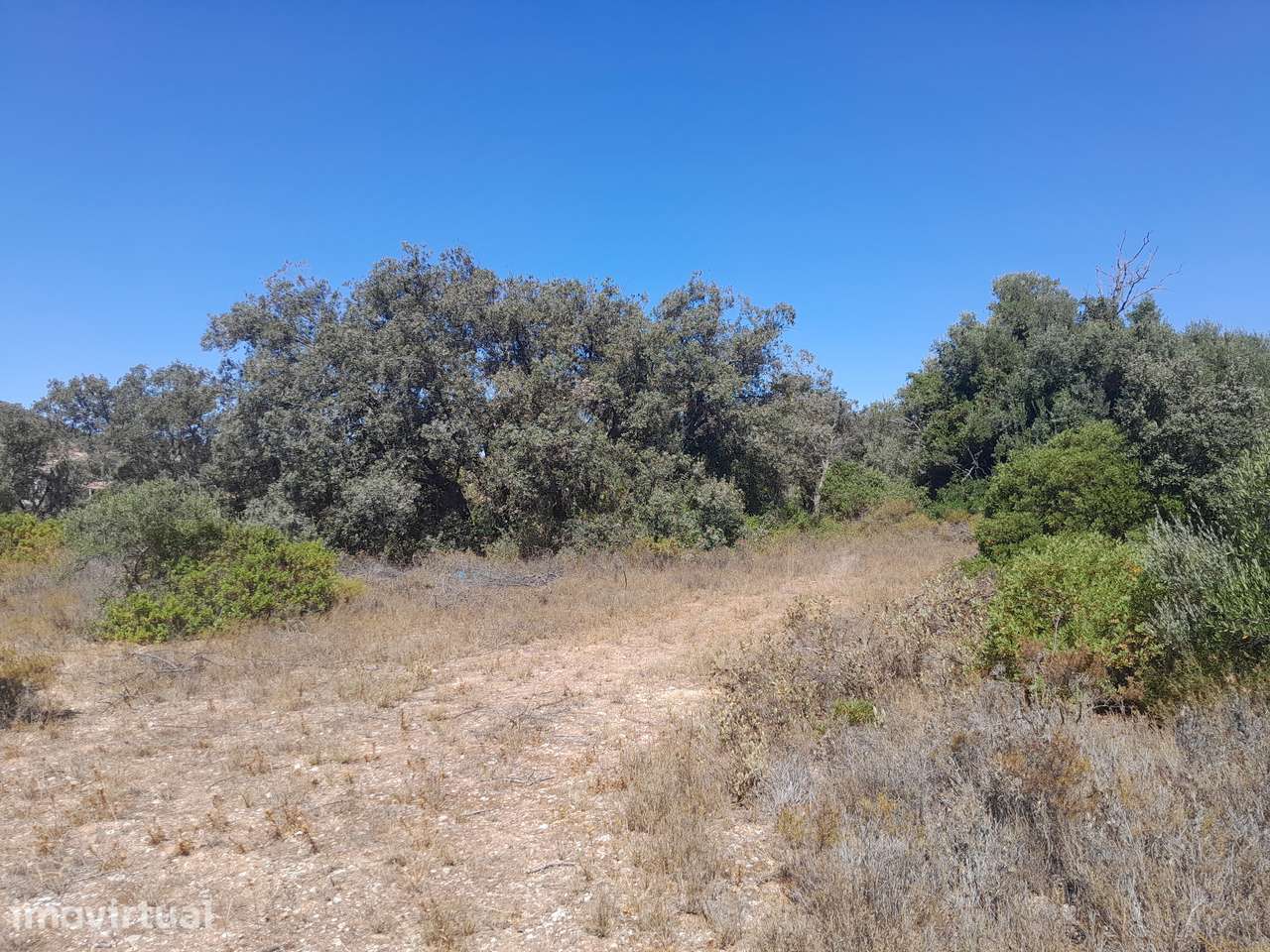 Terrenos Venda Sta Bárbara Nexe C/ Vista Mar - Grande imagem: 3/11