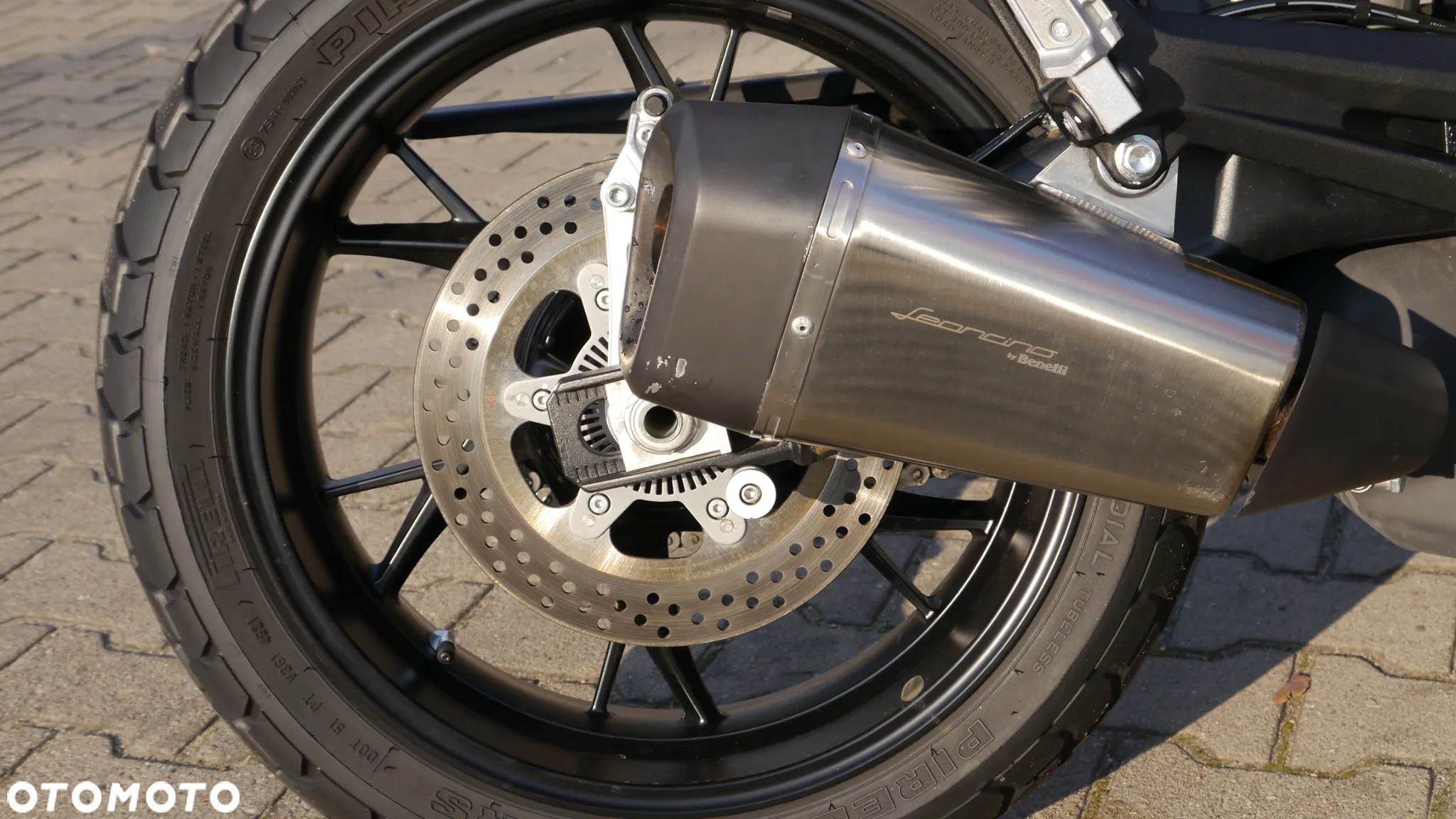 Benelli Leoncino - 15