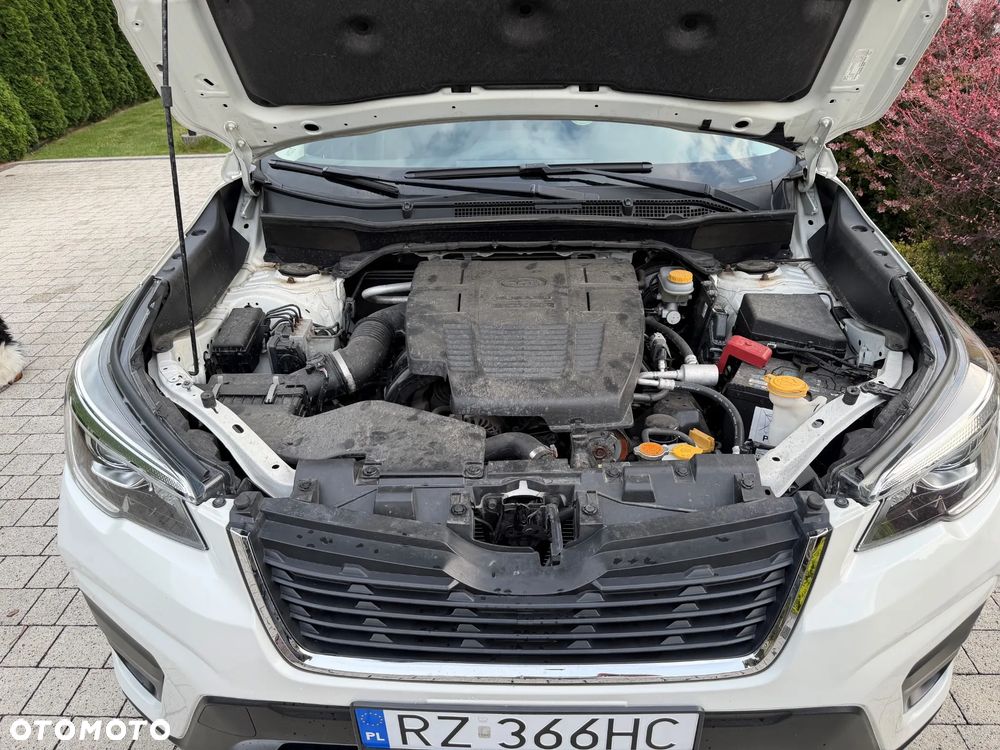 Subaru Forester - 23
